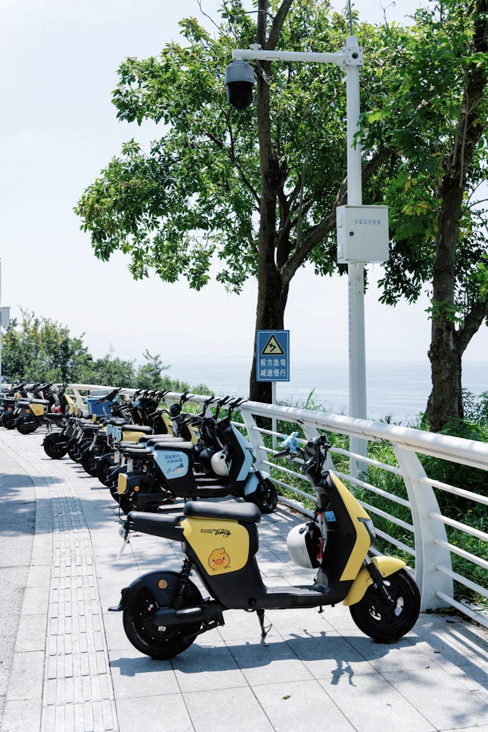 A row of yellow scooters parked by the seaside, framed by trees on a sunny day.
